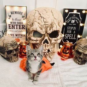 Meet your Posher, Maya